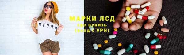 apvp Алексин