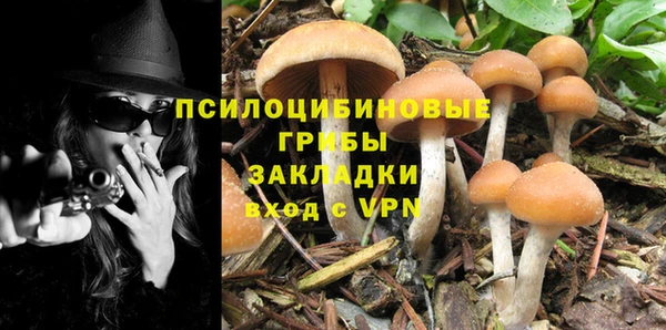 apvp Алексин