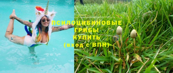 СК Алзамай
