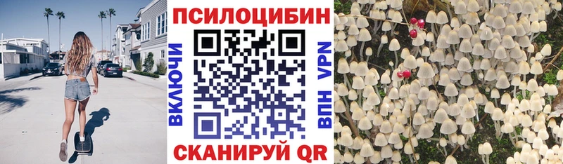 купить закладку  Южно-Сахалинск  Псилоцибиновые грибы мицелий 