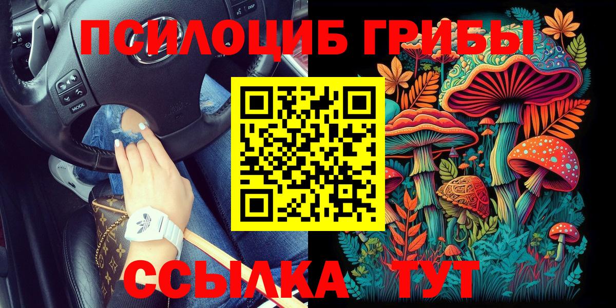 Псилоцибиновые грибы GOLDEN TEACHER  Вход с VPN  Галлюциногенные грибы Cubensis  Южно-Сахалинск 